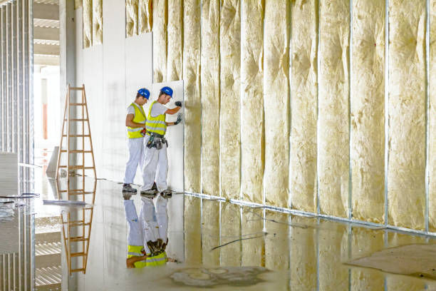 Best Insulation Replacement Services  in University Place, WA